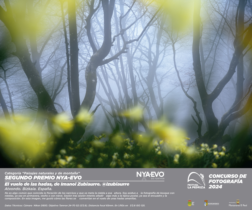 Cartel de la película 