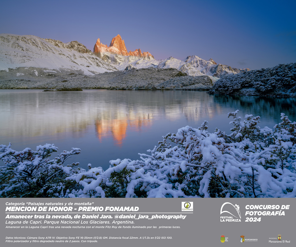 Cartel de la película 