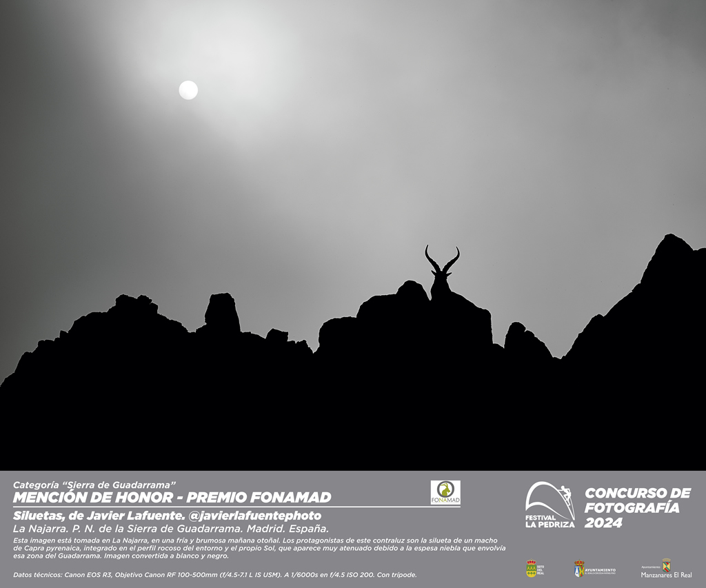 Cartel de la película 