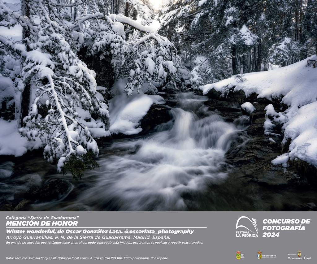 Cartel de la película 