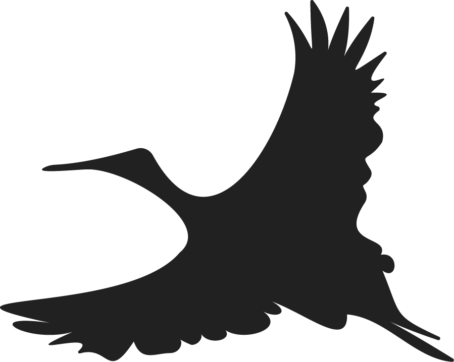 A museum for the people